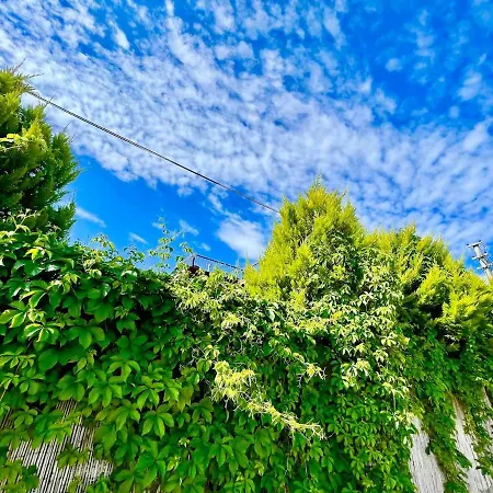 Denize Sifir Havuzlu Jakuzili Bahamas Vila Fethiye