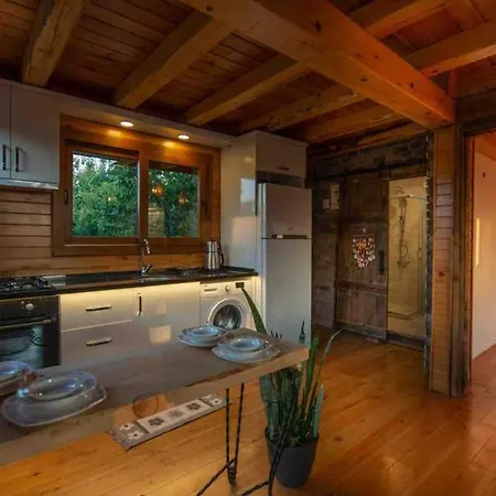 Villa Denize Sifir Havuzlu Jakuzili Bahamas
