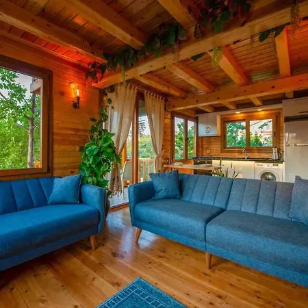 Denize Sifir Havuzlu Jakuzili Bahamas Villa *