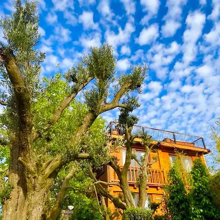 Denize Sifir Havuzlu Jakuzili Bahamas Villa Fethiye