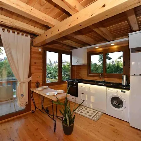 Villa Denize Sifir Havuzlu Jakuzili Bahamas