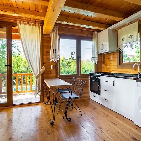 Denize Sifir Havuzlu Jakuzili Bahamas Villa
