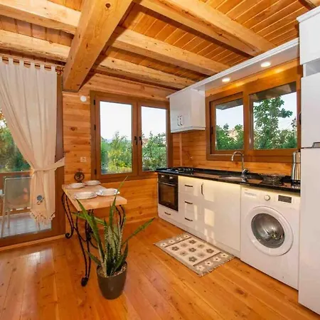 Denize Sifir Havuzlu Jakuzili Bahamas Villa *